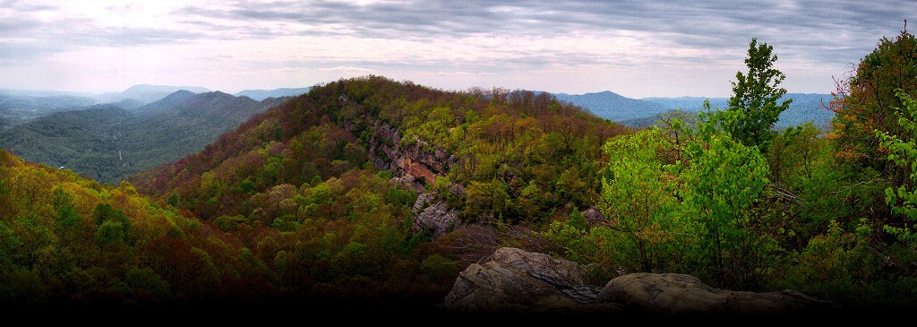 harlan hills